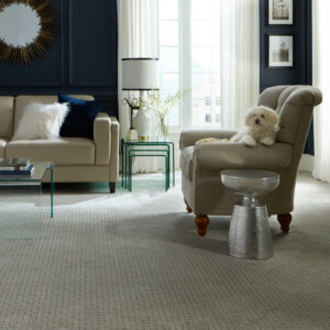 Puppy on couch |  Mid-Michigan Floor Coverings