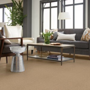 Living room Carpet flooring |  Mid-Michigan Floor Coverings